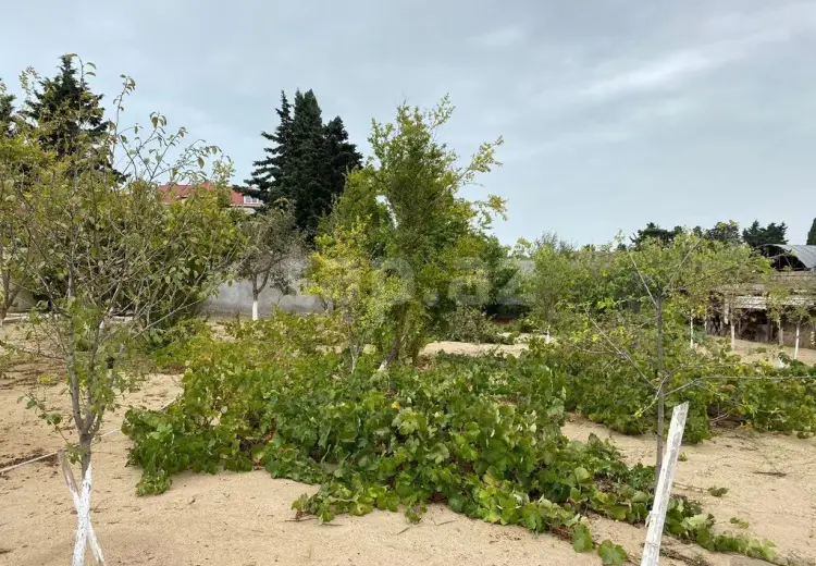 0 m² Obyekt / Ofis , Mərdəkan, Xəzər, Bakı