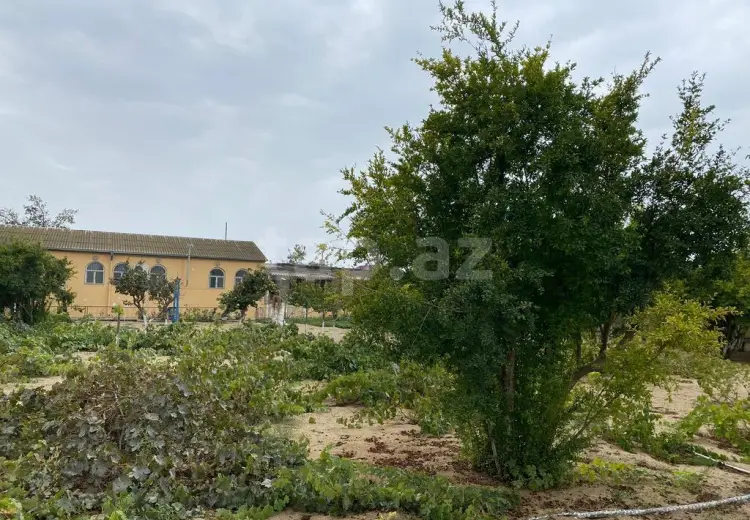 0 m² Obyekt / Ofis , Mərdəkan, Xəzər, Bakı