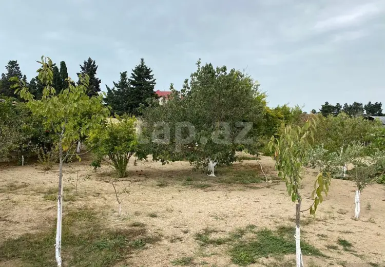 0 m² Obyekt / Ofis , Mərdəkan, Xəzər, Bakı