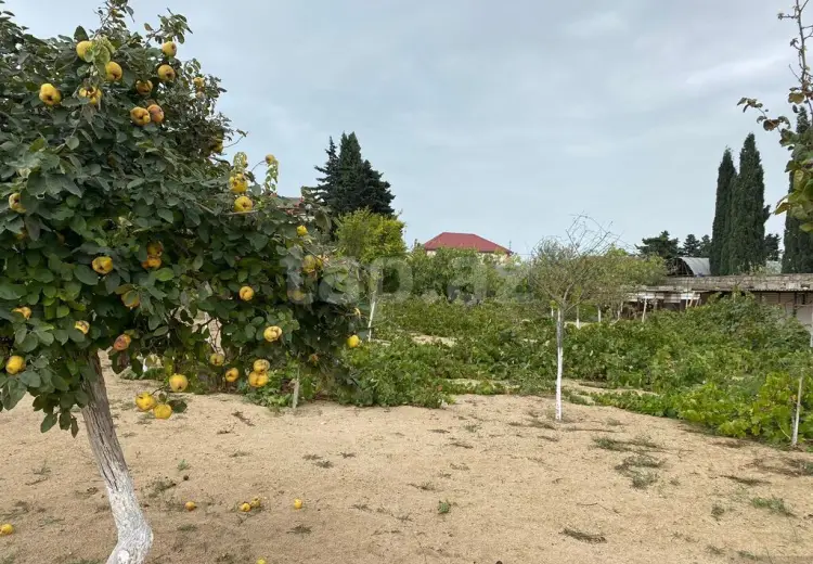 0 m² Obyekt / Ofis , Mərdəkan, Xəzər, Bakı