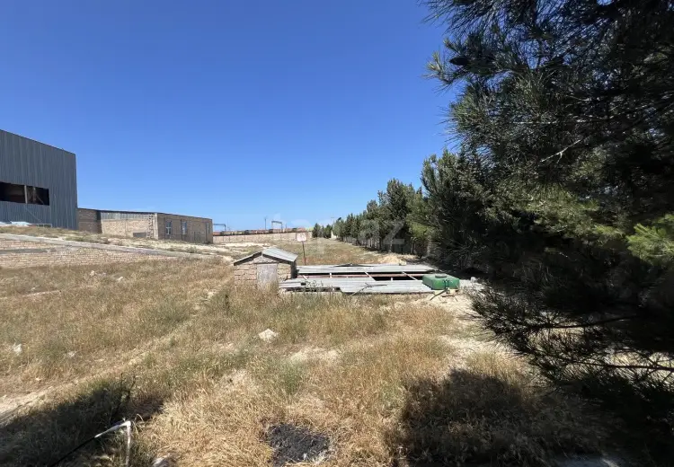 0 m² Obyekt / Ofis , Dübəndi, Xəzər, Bakı
