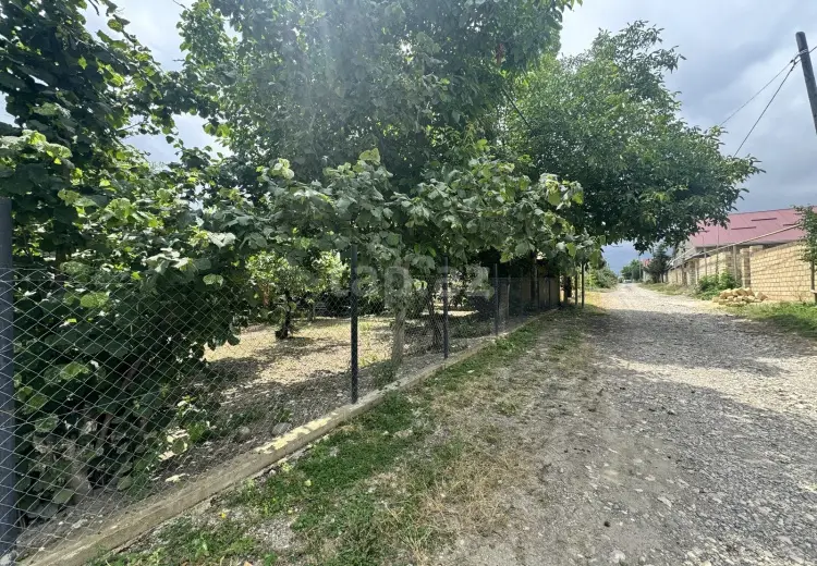0 m² Obyekt / Ofis , Qusar