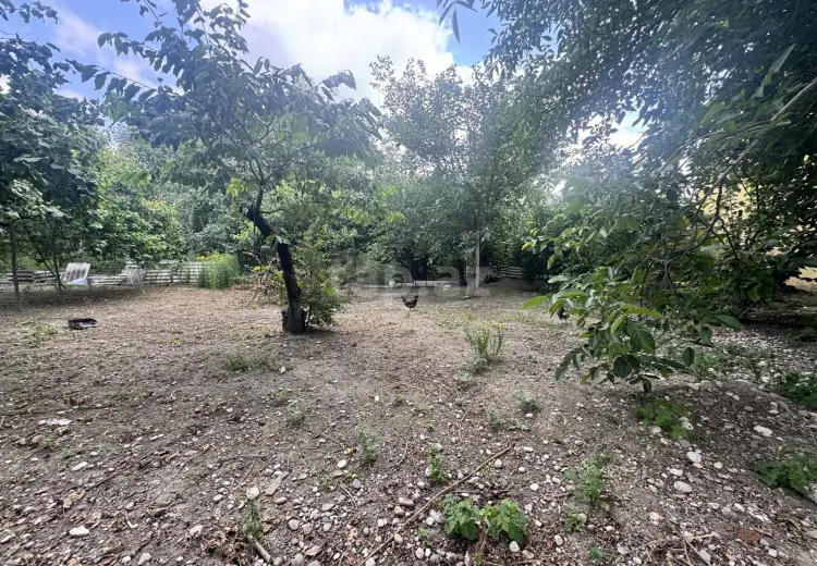 0 m² Obyekt / Ofis , Qusar