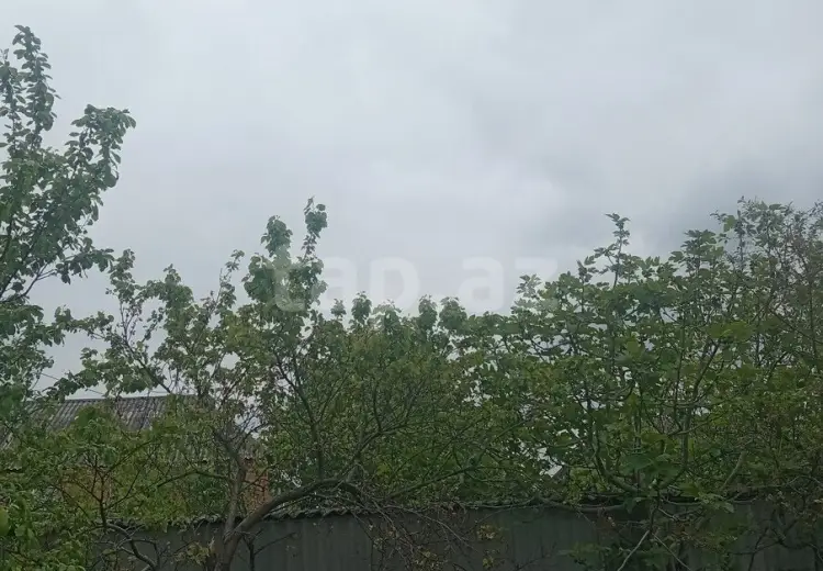 0 m² Obyekt / Ofis , Zaqatala