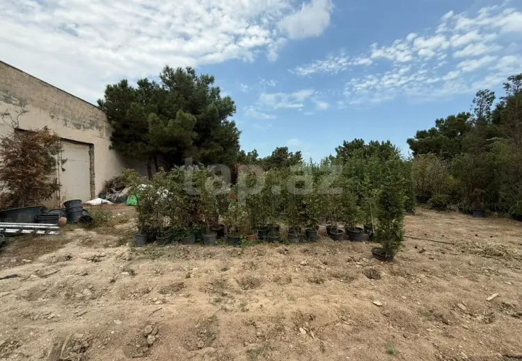 0 m² Obyekt / Ofis , Buzovna, Xəzər, Bakı