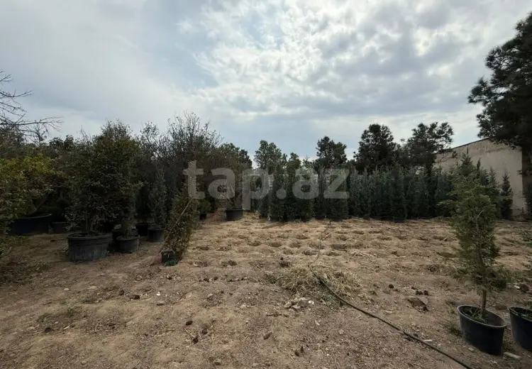 0 m² Obyekt / Ofis , Buzovna, Xəzər, Bakı