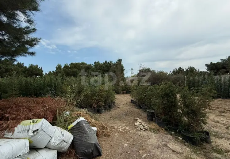 0 m² Obyekt / Ofis , Buzovna, Xəzər, Bakı