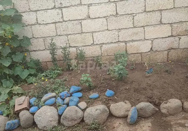 0 m² Obyekt / Ofis , Lənkəran