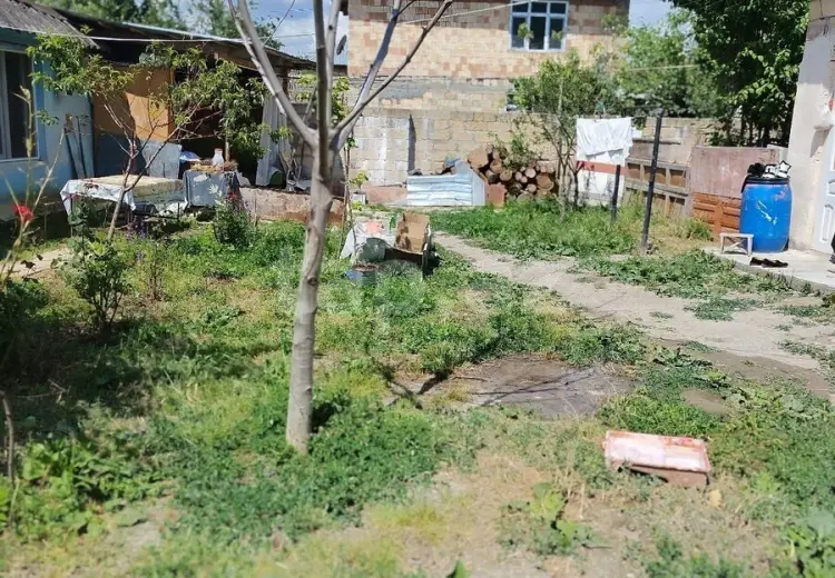 3 otaqlı mənzil , Şəki