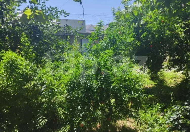 3 otaqlı mənzil , Şamaxı