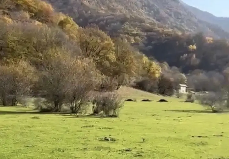 81 sot Torpaq Satılır, Oğuz