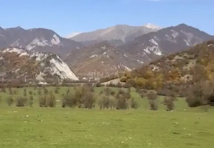 81 sot Torpaq Satılır, Oğuz