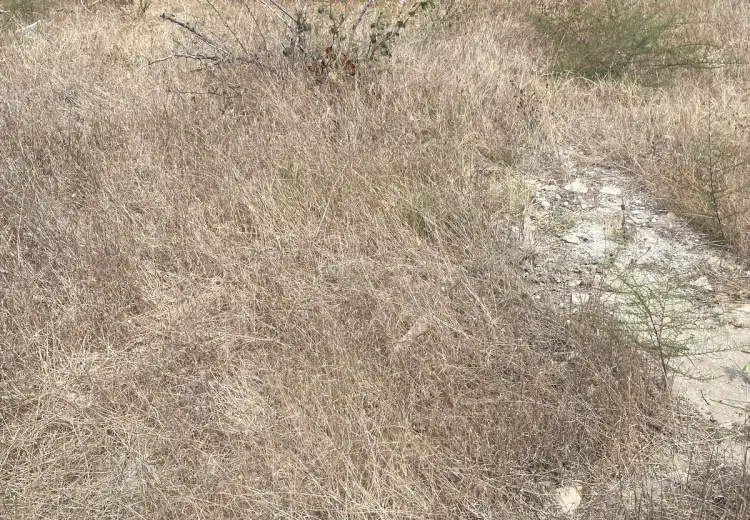 4.5 sot Torpaq Satılır, Şüvəlan, Xəzər, Bakı