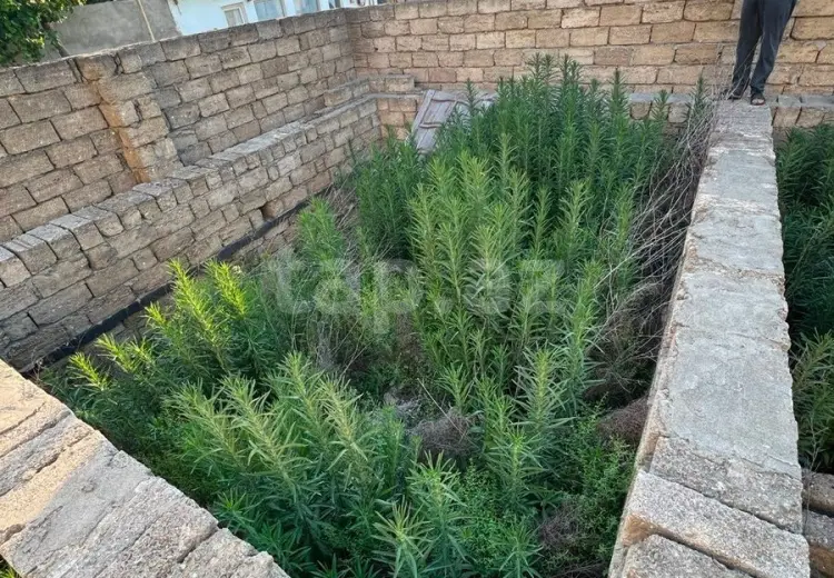 0 m² Obyekt / Ofis , Savalan qəs., Sabunçu, Bakı