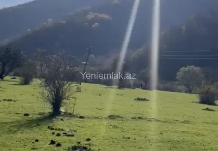 81 sot Torpaq Satılır, Oğuz