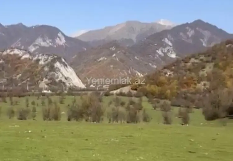 81 sot Torpaq Satılır, Oğuz