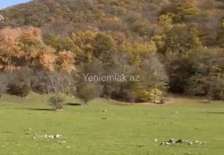 81 sot Torpaq Satılır, Oğuz