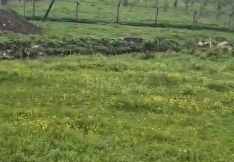 12 sot Torpaq Satılır, Şamaxı