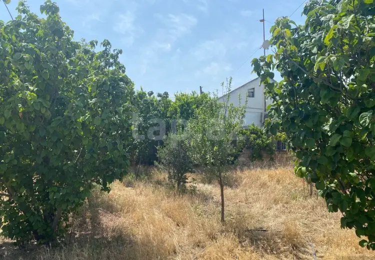 0 m² Obyekt / Ofis , Şüvəlan, Xəzər, Bakı