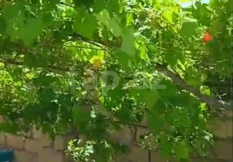 3 otaqlı mənzil , Sumqayıt