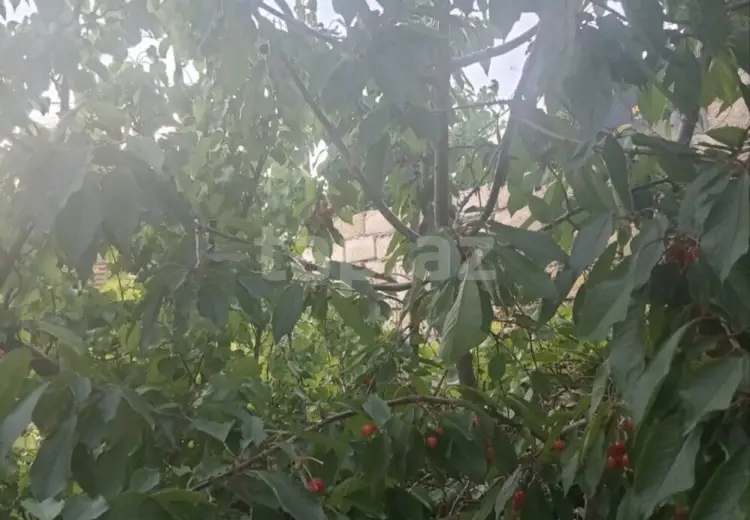 3 otaqlı mənzil , Saray, Abşeron