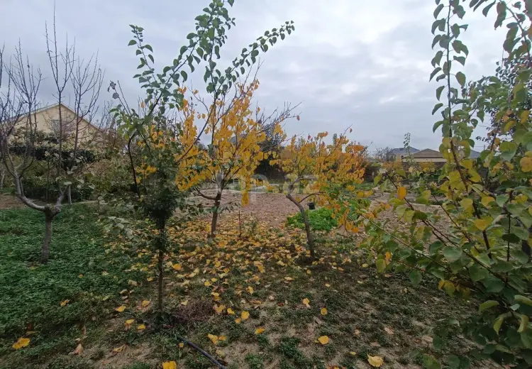 0 m² Obyekt / Ofis , Saray, Abşeron