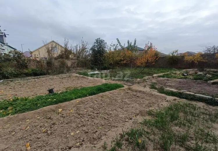 0 m² Obyekt / Ofis , Saray, Abşeron