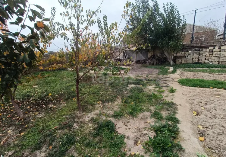 0 m² Obyekt / Ofis , Saray, Abşeron