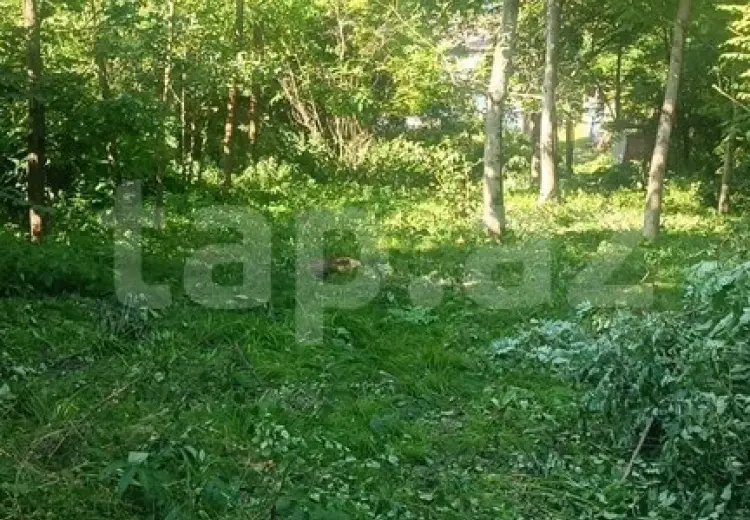 0 m² Obyekt / Ofis , Qusar