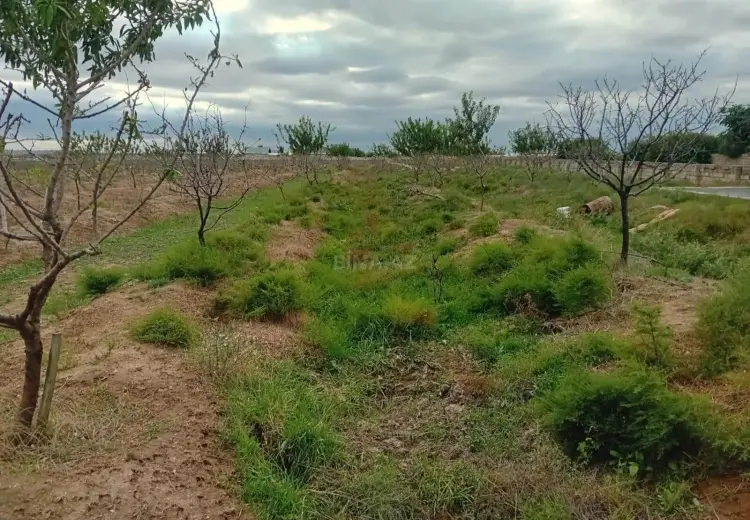 120 sot Torpaq Satılır, Buzovna, Xəzər, Bakı