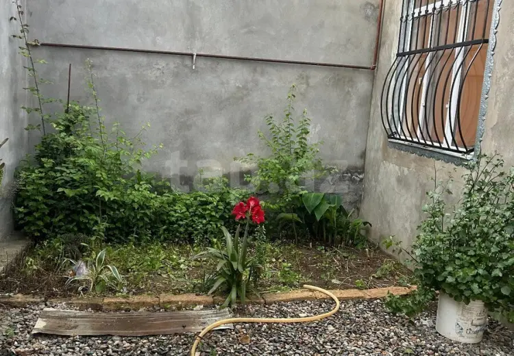 3 otaqlı mənzil , Gəncə
