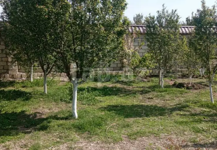 3 otaqlı mənzil , Göyçay