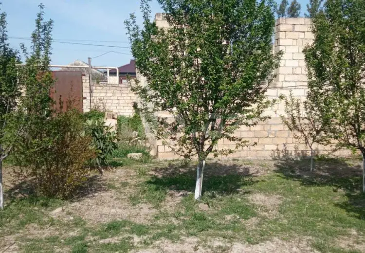 3 otaqlı mənzil , Göyçay