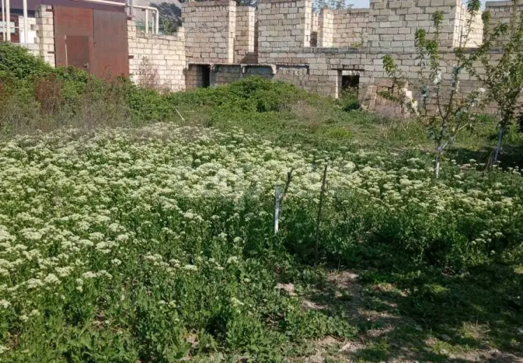 3 otaqlı mənzil , Göyçay