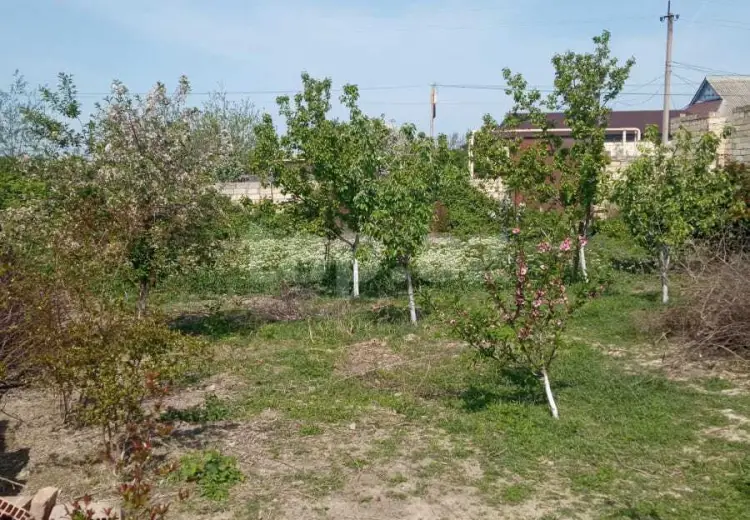 3 otaqlı mənzil , Göyçay