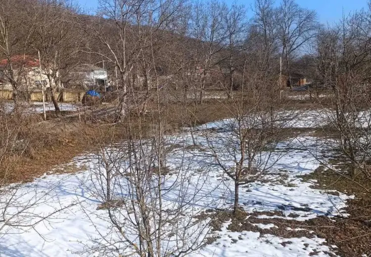 10 sot Torpaq Satılır, Qusar