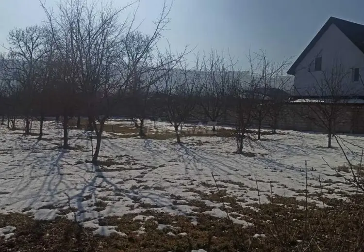 10 sot Torpaq Satılır, Qusar