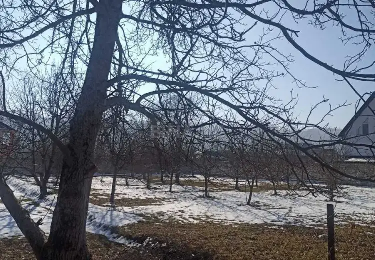 10 sot Torpaq Satılır, Qusar