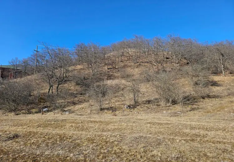 34 sot Torpaq Satılır, Qusar