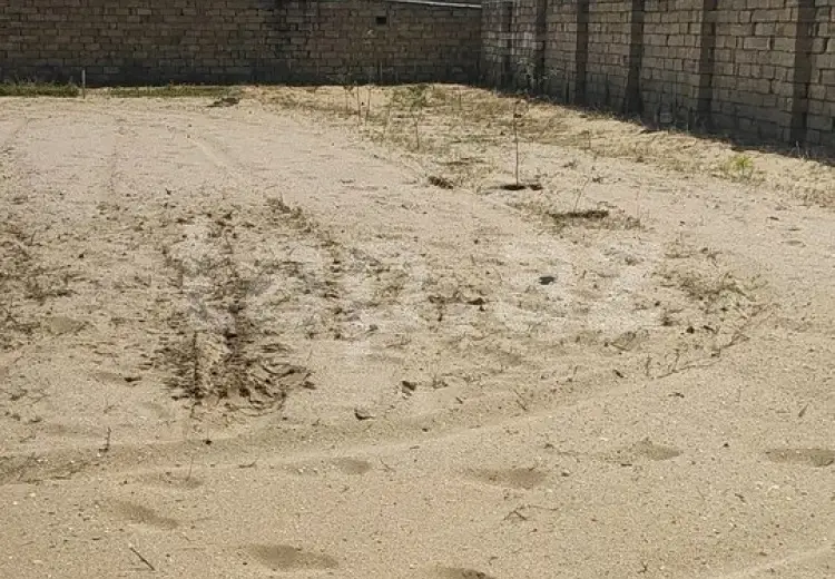 0 m² Obyekt / Ofis , Türkan, Xəzər, Bakı