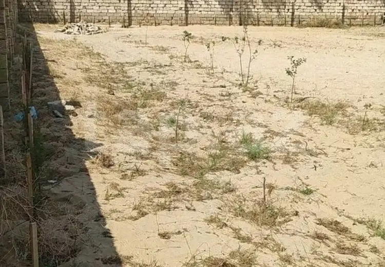 0 m² Obyekt / Ofis , Türkan, Xəzər, Bakı