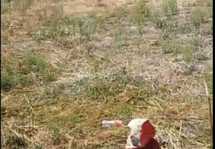 6 sot Torpaq Satılır, Bakı