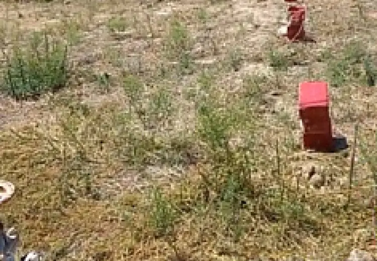 6 sot Torpaq Satılır, Bakı
