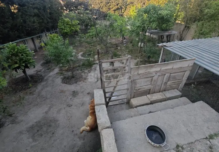 16.5 sot Torpaq Satılır, Bakıxanov qəs., Sabunçu, Bakı