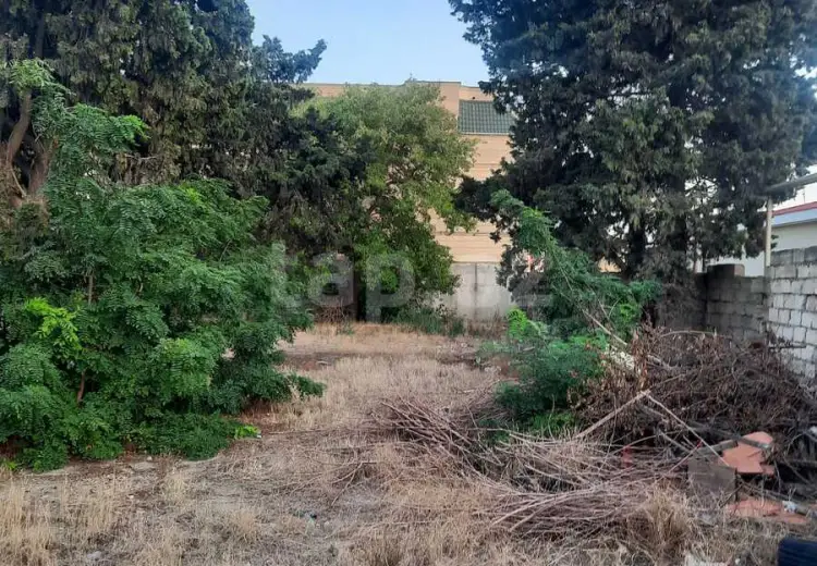 0 m² Obyekt / Ofis , Montin qəs., Nərimanov, Bakı
