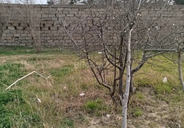 5.5 sot Torpaq Satılır, Goradil, Abşeron