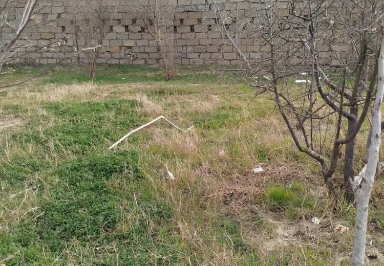 5.5 sot Torpaq Satılır, Goradil, Abşeron
