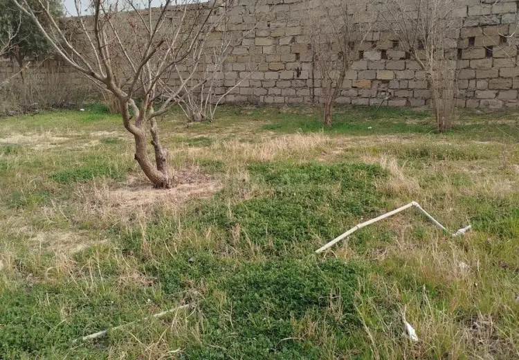 5.5 sot Torpaq Satılır, Goradil, Abşeron