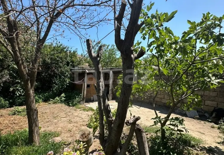 3 otaqlı mənzil , Sumqayıt