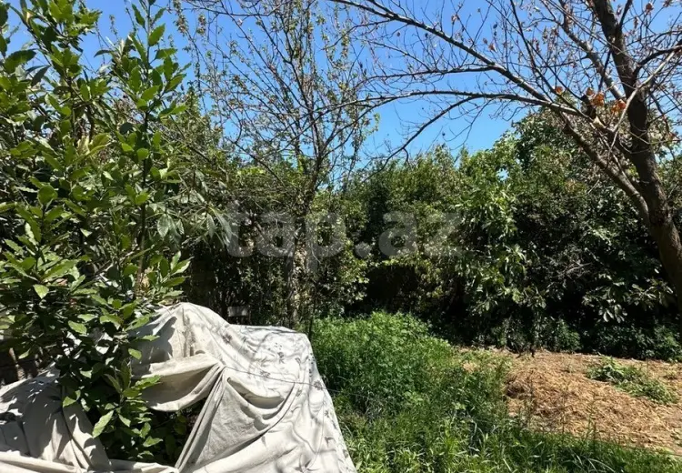 3 otaqlı mənzil , Sumqayıt